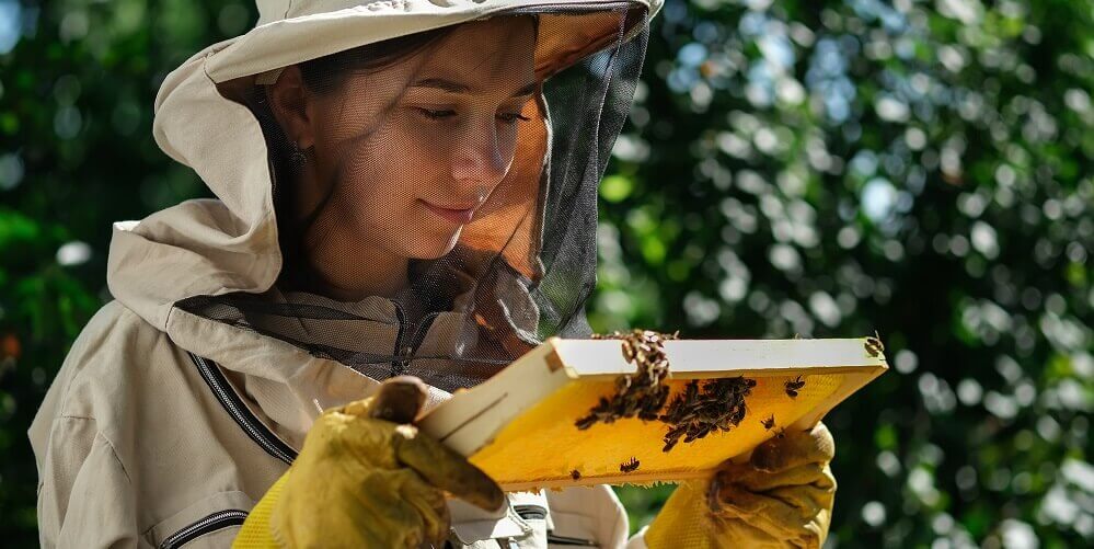 Woman in a bee suit checking her hives
