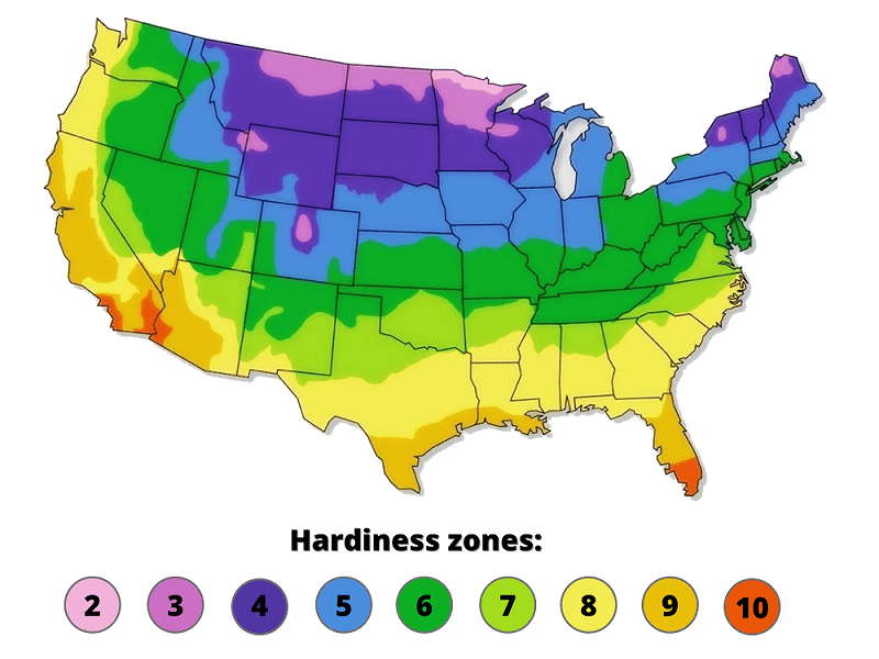 hardiness zone map to determine what the best flowers for bees are in certain locations
