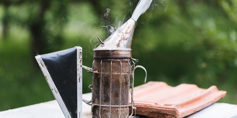 bee smoker sitting on hive