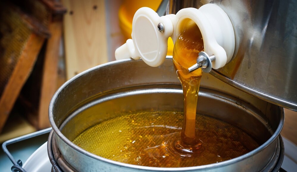 draining honey from honey extractor