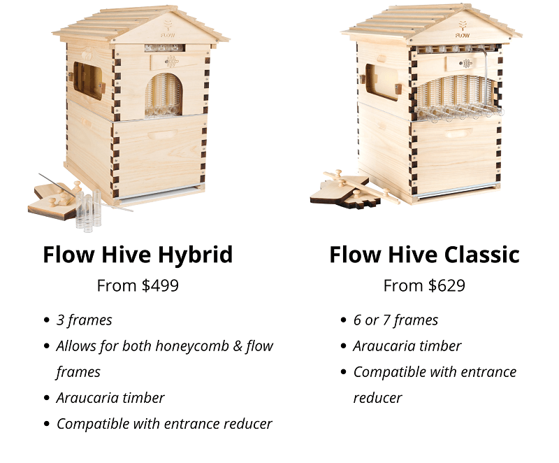flow hive reviews 