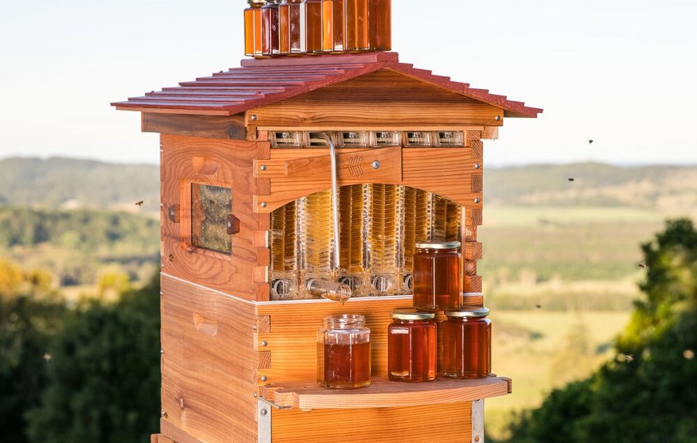 Flow hive harvesting honey