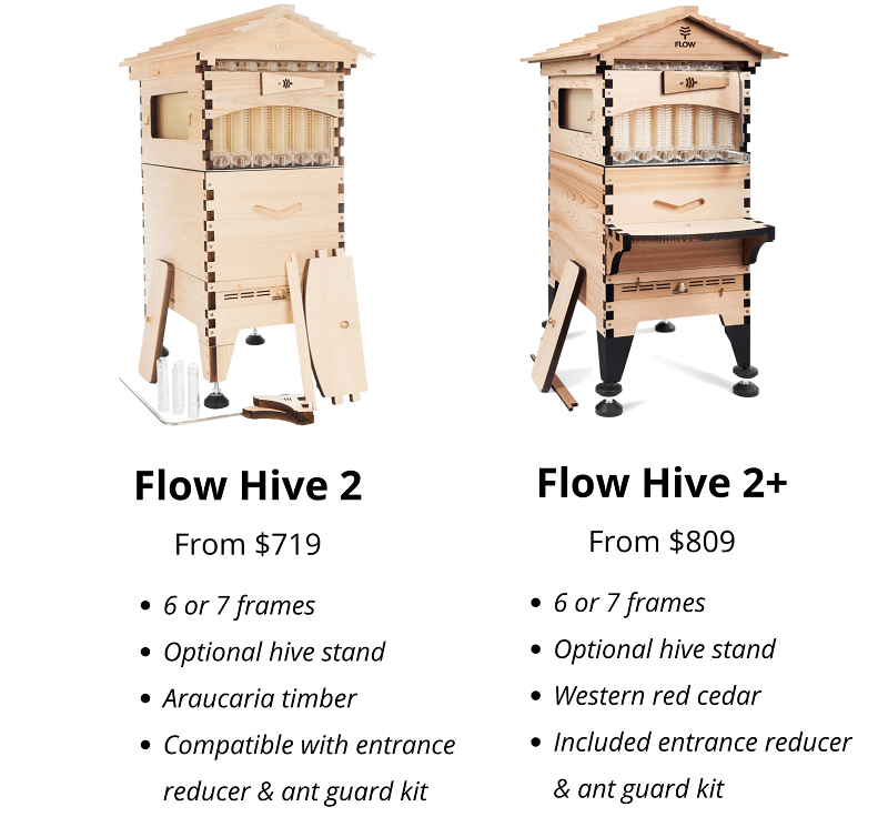 flow hive reviews