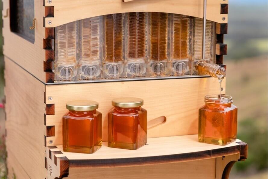 flow hive harvesting honey
