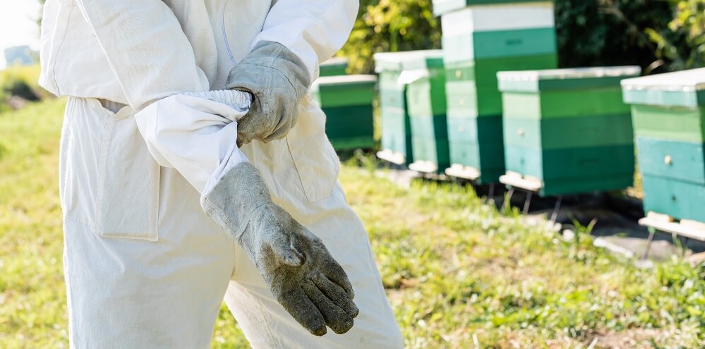 backyard beekeeper putting on gloves