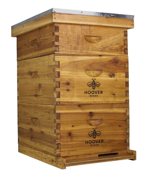 langstroth hive used for backyard beekeeping