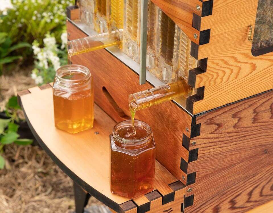 flow hive used for backyard beekeeping