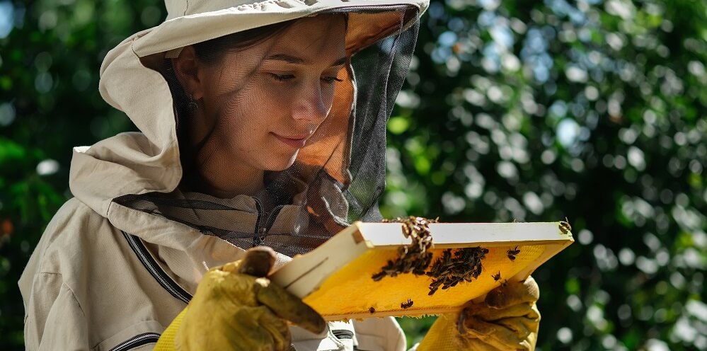 backyard beekeeper wearing bee suit
