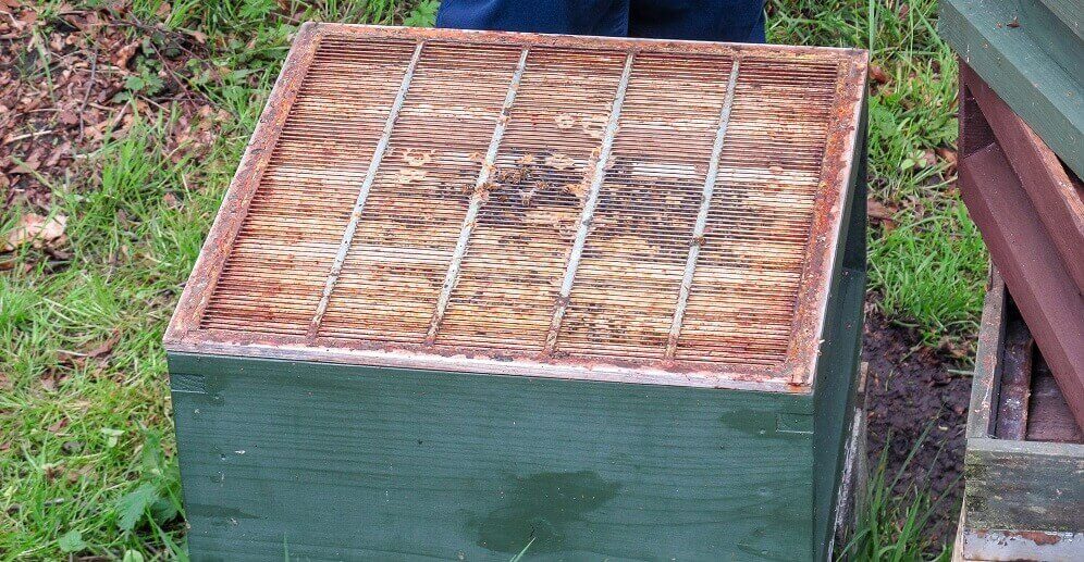 queen excluder used on langstroth hive for beekeeping