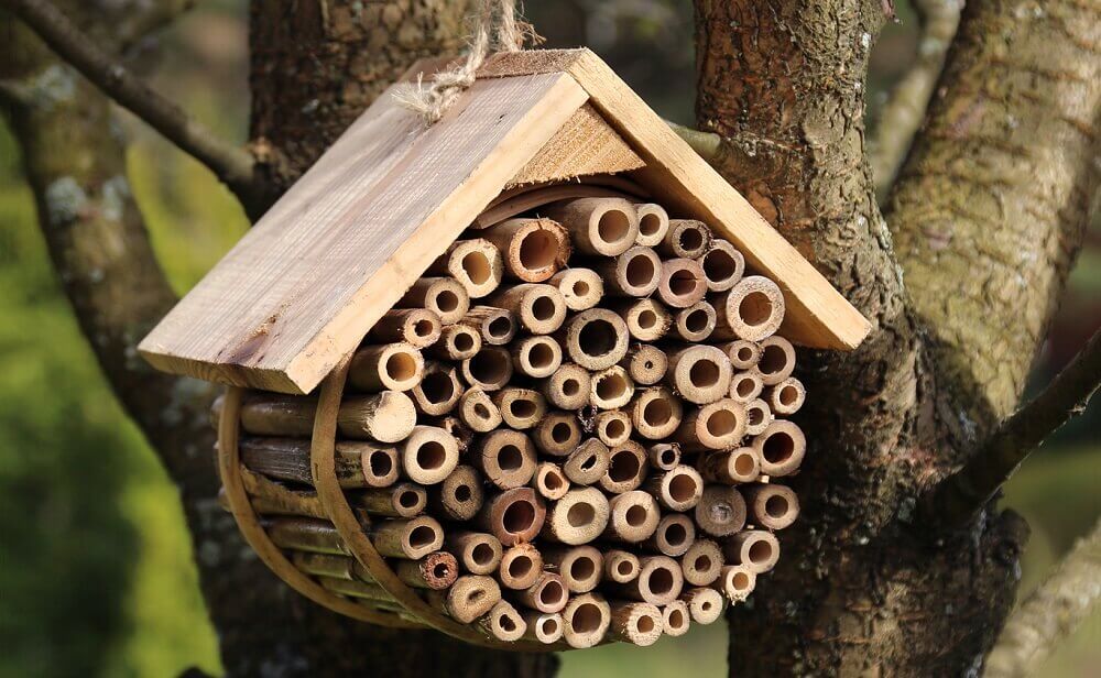 bee hotel used to get rid of carpenter bees