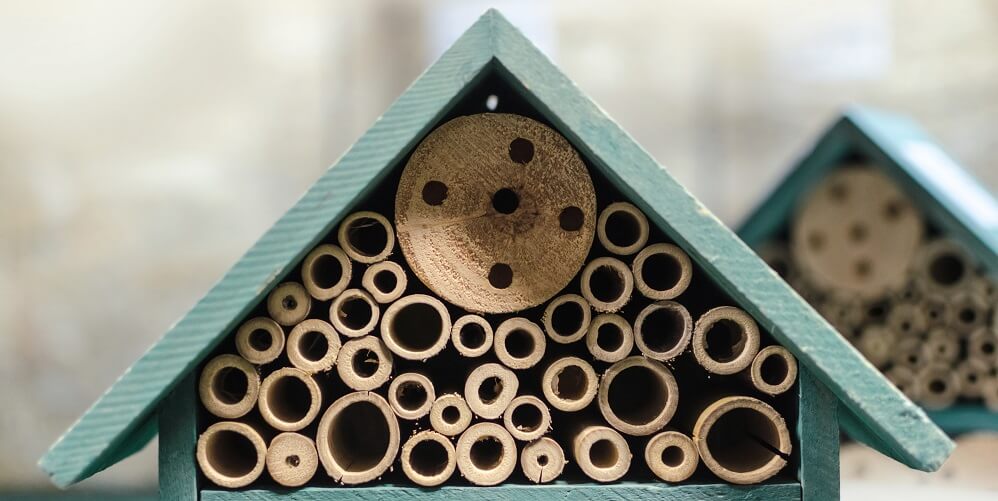 bee hotel for carpenter bees