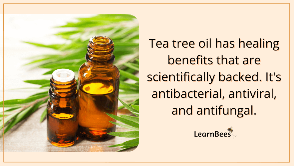 essential oils for bee stings