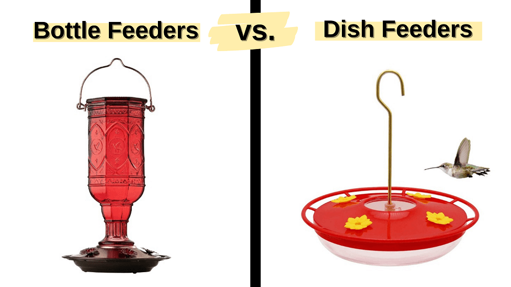 bottle feeders vs dish feeders for keeping bees away