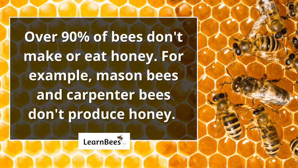 do bees eat honey?