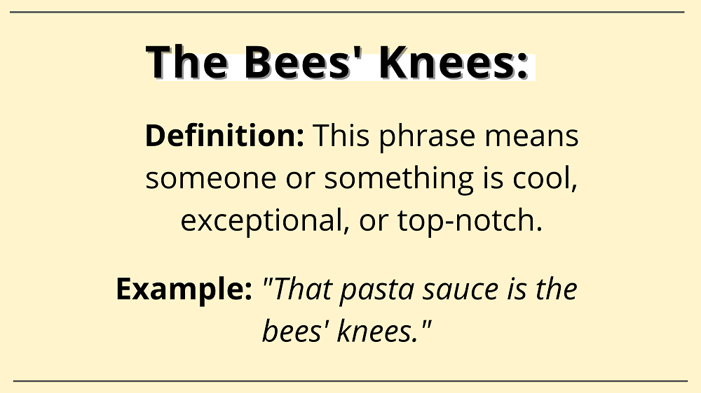 the bee's knees definition