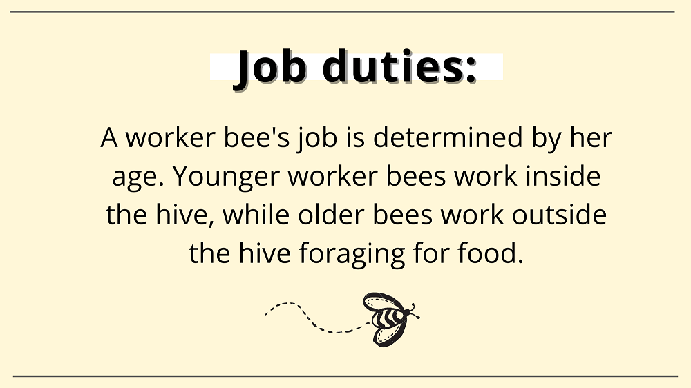 worker bee job duties
