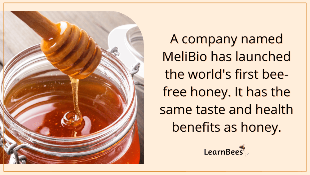 Do all bees make honey?