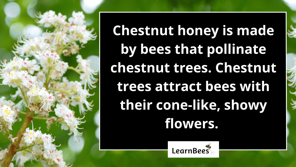 chestnut honey