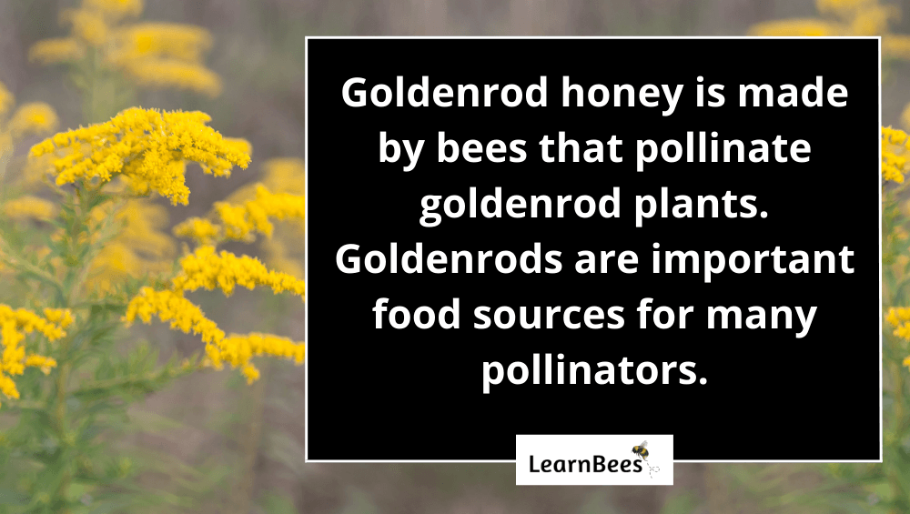 goldenrod honey