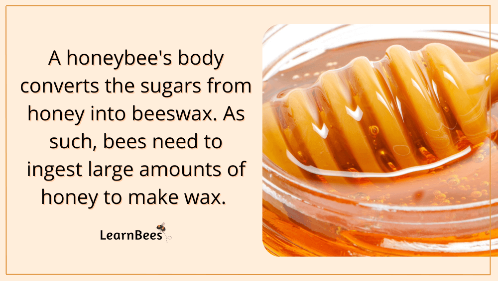 How do bees make wax?