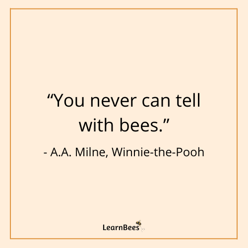 quotes about bees