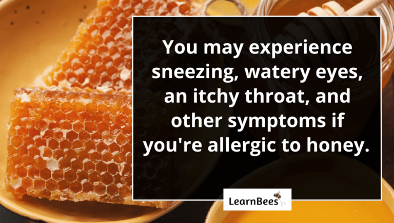 Allergic to Honey: 6 Potential Signs + Treatment