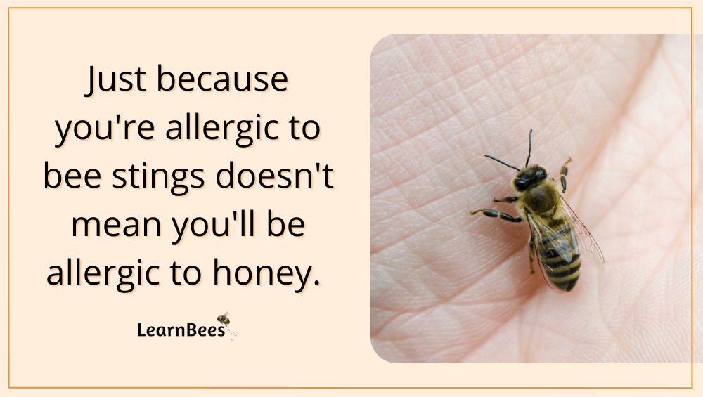 allergic to honey