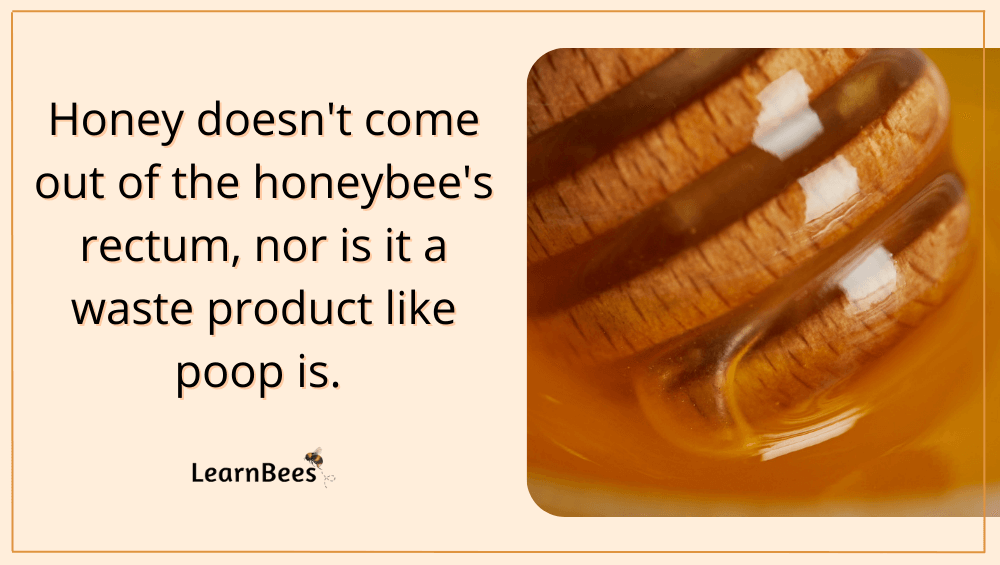 is honey bee poop?