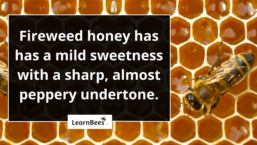 fireweed honey