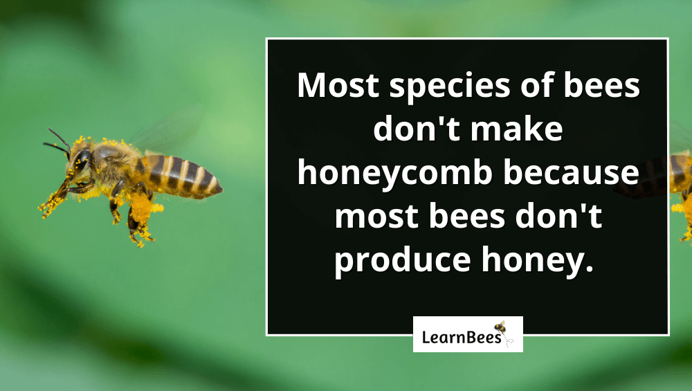 what are honeycombs made of?