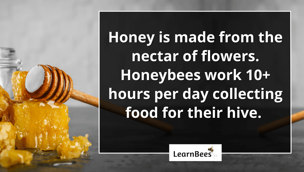 is honey bee poop?