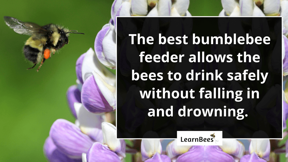 bumblebee feeder
