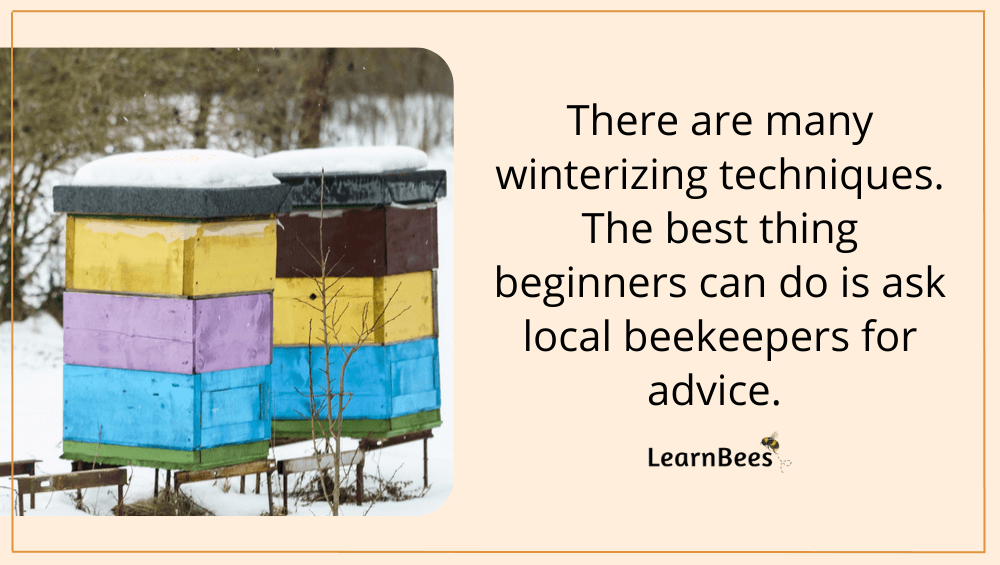 do beehives die in the winter?