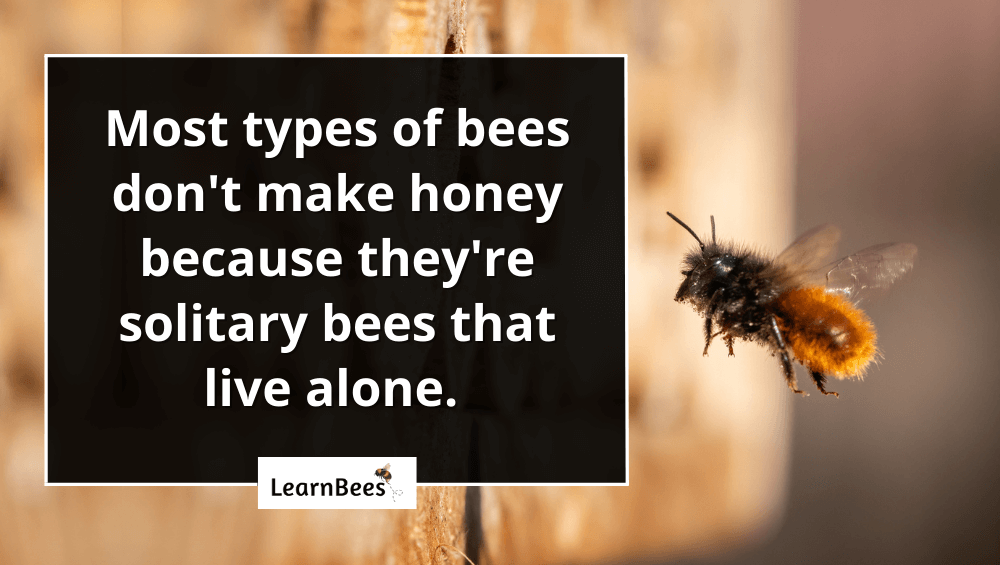 how do bees make honey?