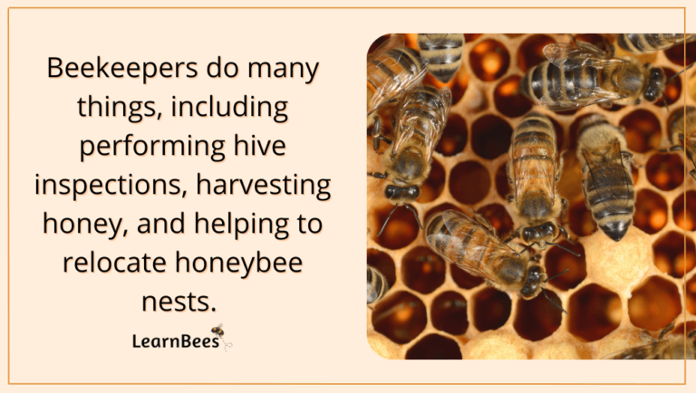 What is a Beekeeper Called? - LearnBees