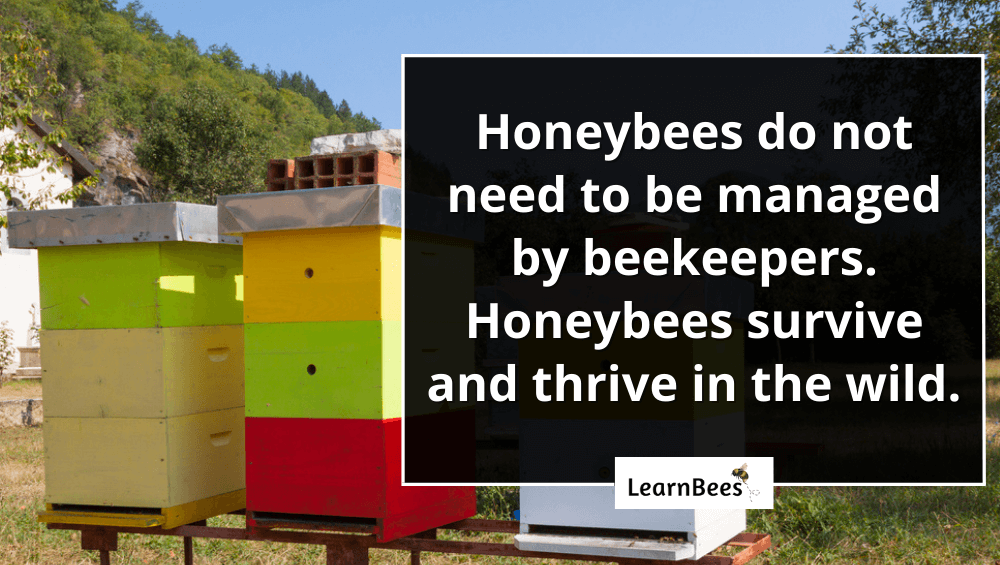 What is a beekeeper called?