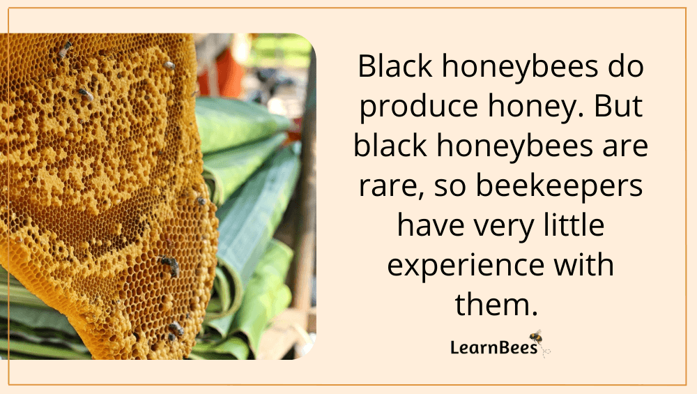 black honeybees