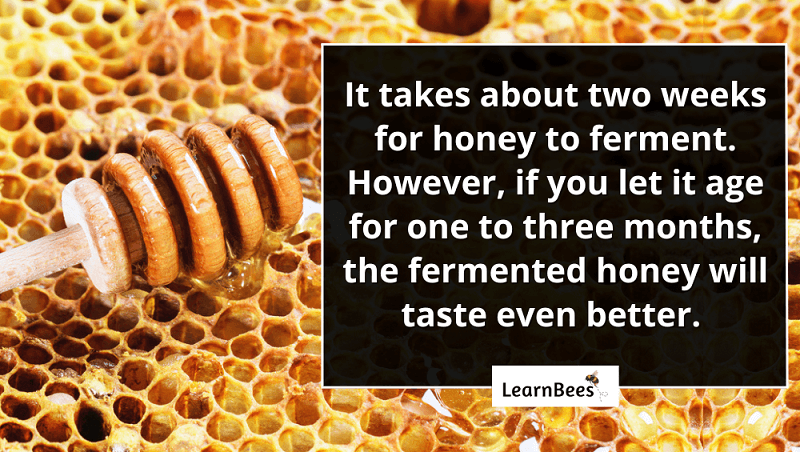 fermenting in honey