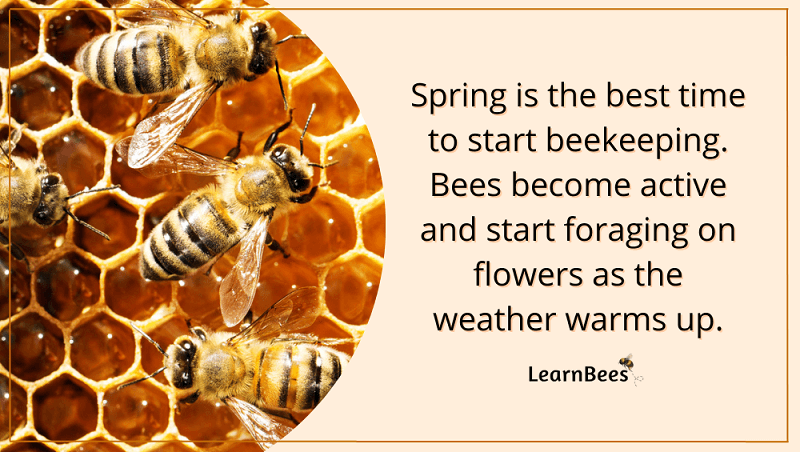 beginning beekeeping supplies