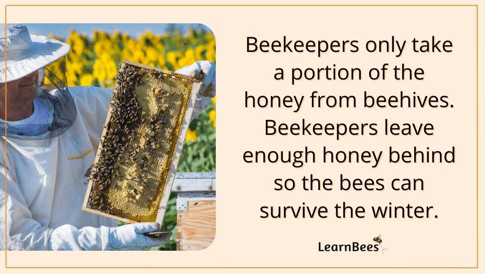 What do bees do with honey?