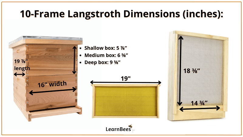 10-frame Langstroth hive dimensions in inches