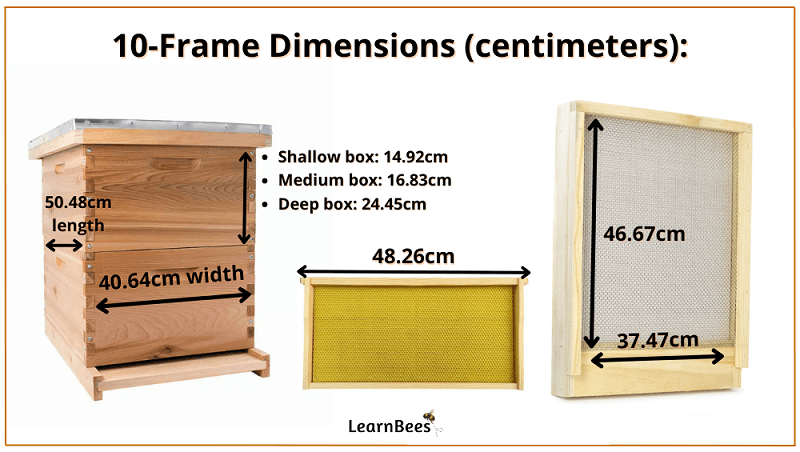10-frame Langstroth hive dimensions in centimeters