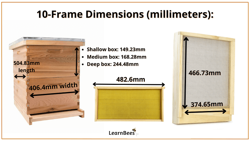 10-frame Langstroth hive dimensions in millimeters