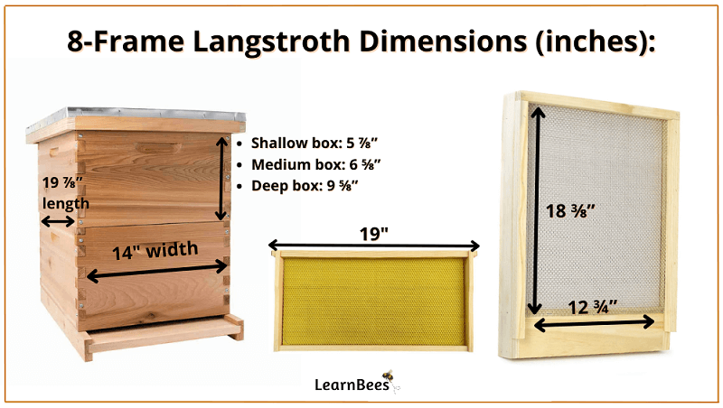 8-frame Langstroth hive dimensions in inches