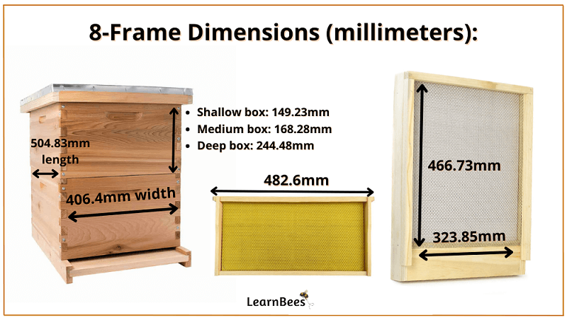 8-frame Langstroth hive dimensions in millimeters