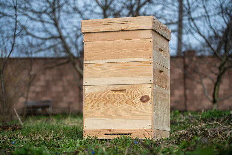 Langstroth hive
