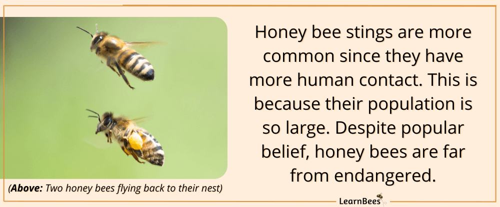 honey bees flying towards nest